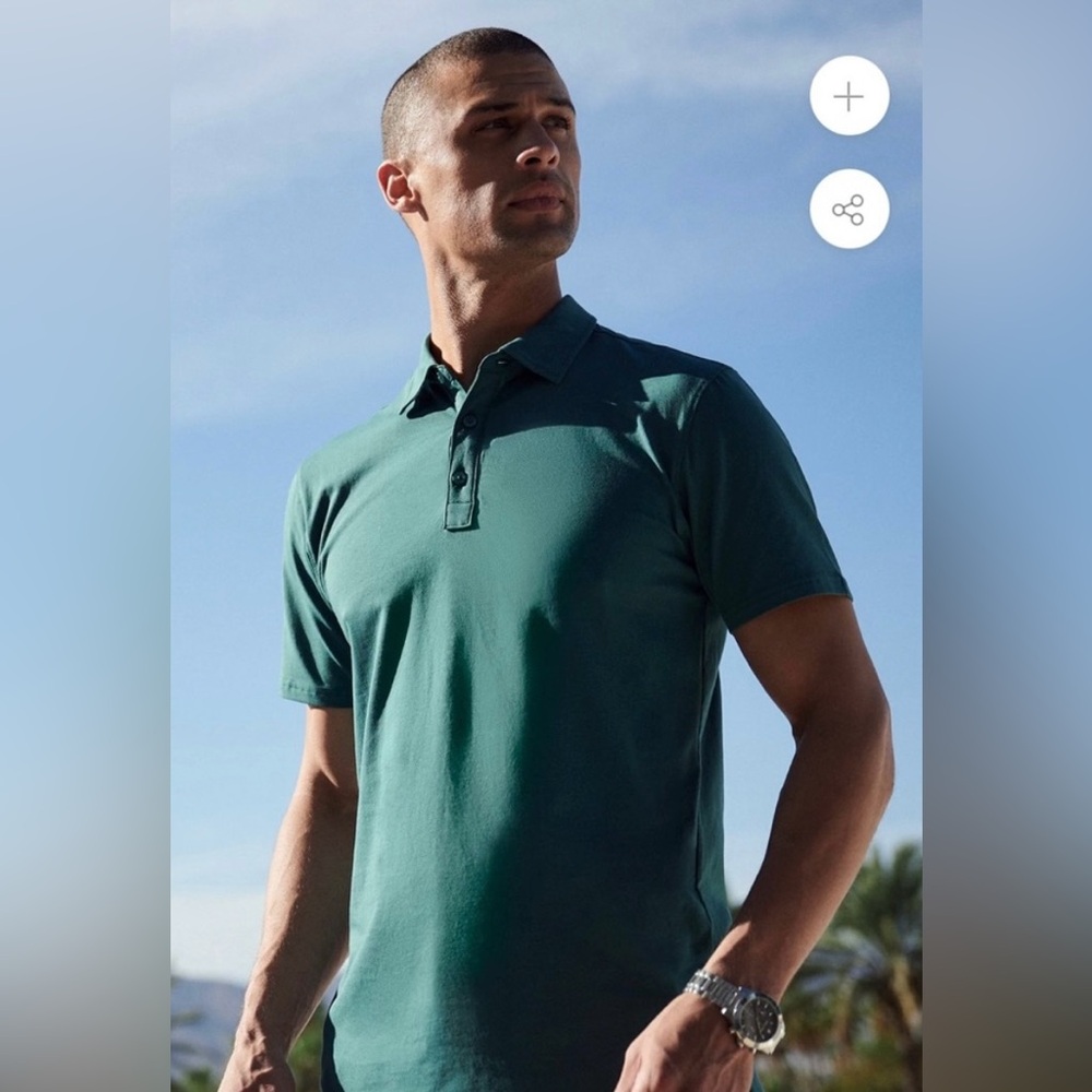 Swet Tailor All In Polo in Spruce